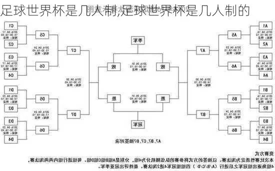 世界杯冠亚军单式投注是什么意思 世界杯单循环还是双循环-第1张图片-www.211178.com_果博福布斯